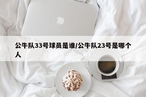 公牛队33号球员是谁/公牛队23号是哪个人